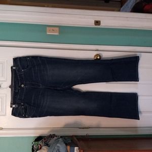 Lane Bryant Slim Bootcut Jeans